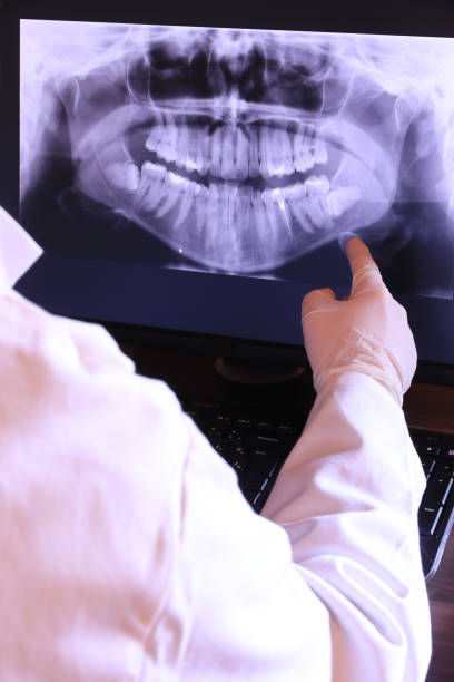 Best Emergency X-Rays and Diagnostics in Sewanee, TN